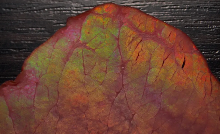 Why Some Cold Cuts Make Iridescent Meat Rainbows