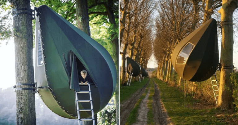 Raindrop-Shaped Tent Lets You Sleep In The Trees While Camping