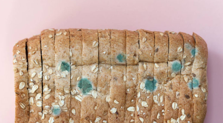 7 Ways To Keep Your Food Fresher For Longer