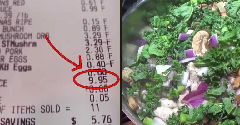 $10 Kroger Weekly Food Budget Challenge