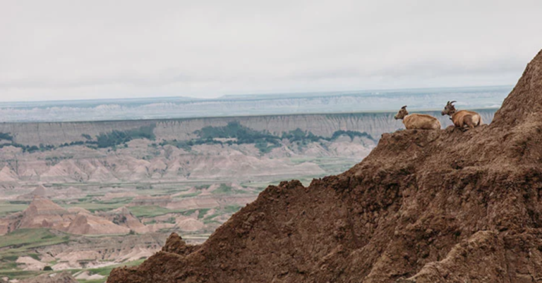 10 National Parks You Can Explore From Your Couch