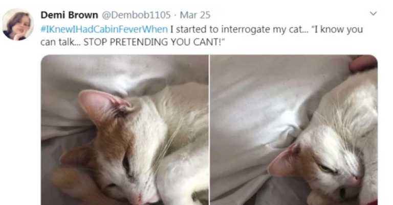 20 People Share Their Cabin Fever Moments In Hilarious Tweets