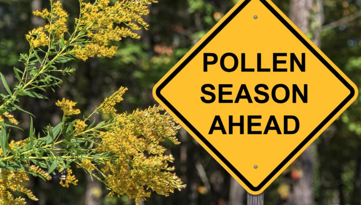 Allergy Sufferers Facing A ‘Brutal’ Spring, Outlook Suggests 12 Tomatoes