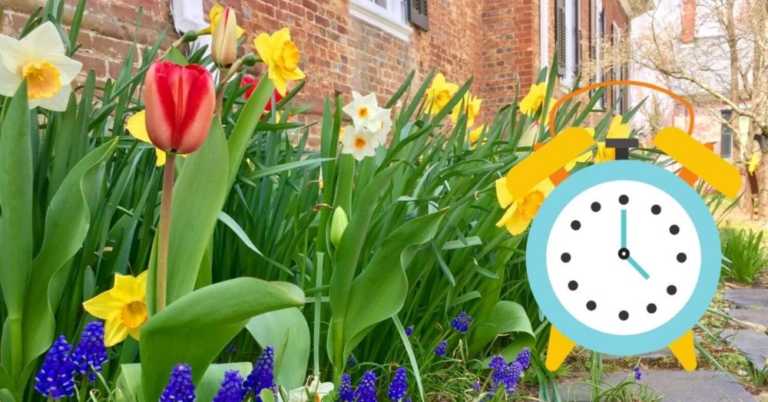 Spring Hasn’t Come This Early In About 100 Years