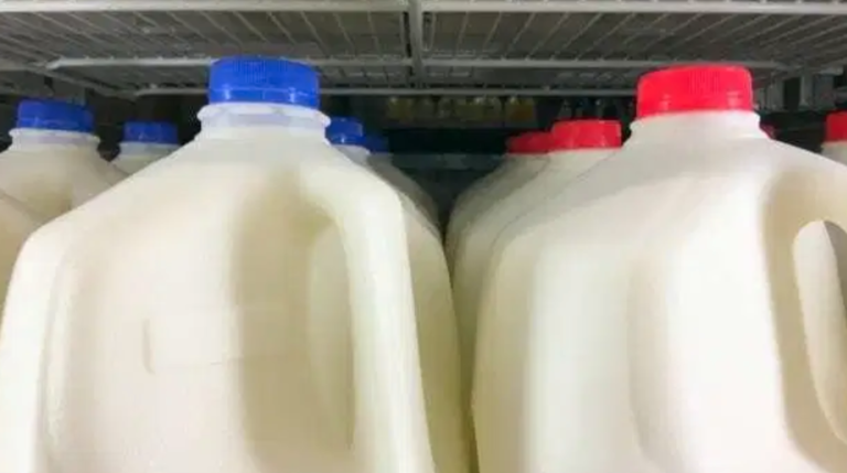 Can You Freeze Milk? Here Are The Guidelines For Different Types