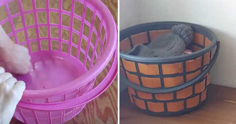 Cute Farmhouse Storage Ideas Using Dollar Store Bins