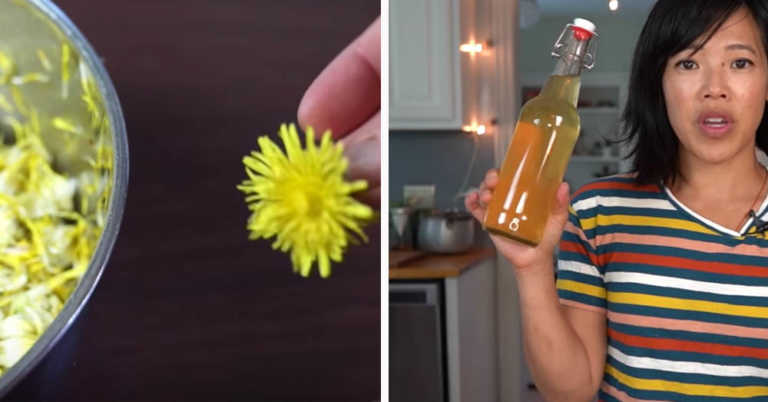 How to Make Dandelion Wine (And How it Tastes)