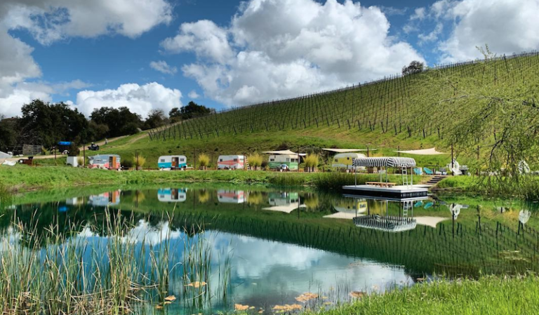 You And Your Friends Can Stay In Vintage Campers At A Vineyard