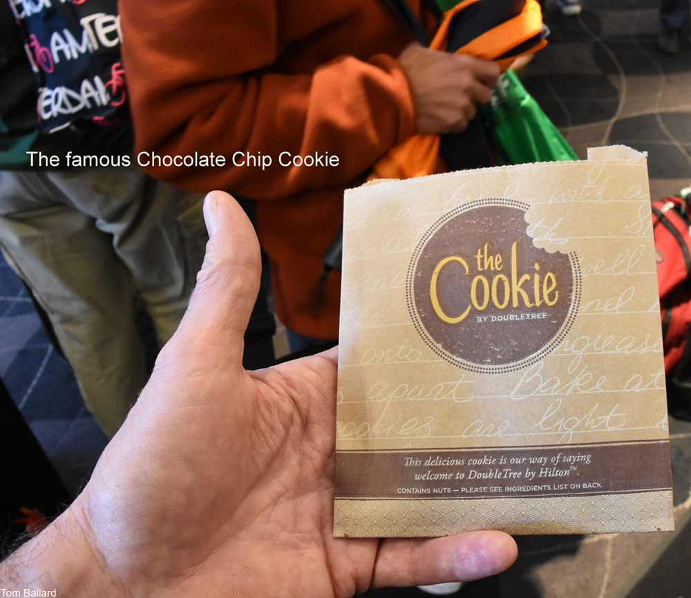 Double Tree Hotels chocolate chip cookie in bag