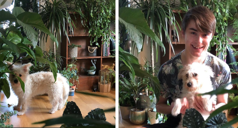 Garden Center Worker Has 400 Houseplants In His One-Bedroom House