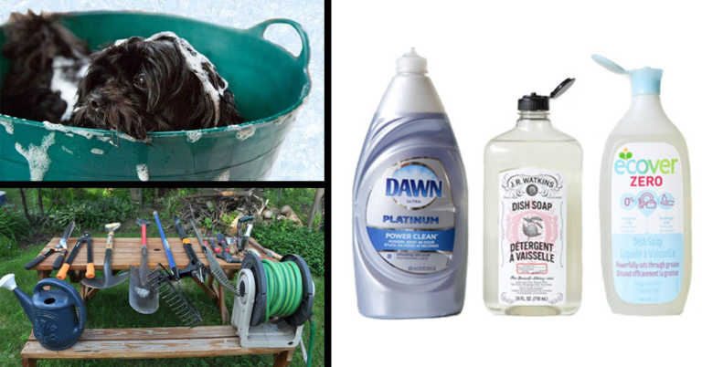 6 Creative Ways to Use Dish Soap Around The House