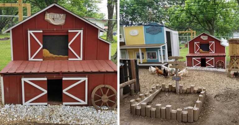 Man Builds His Wife’s Chickens Their Own Miniature ‘Coop Town’