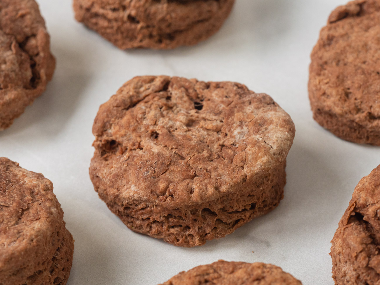 fluffy chocolate biscuits