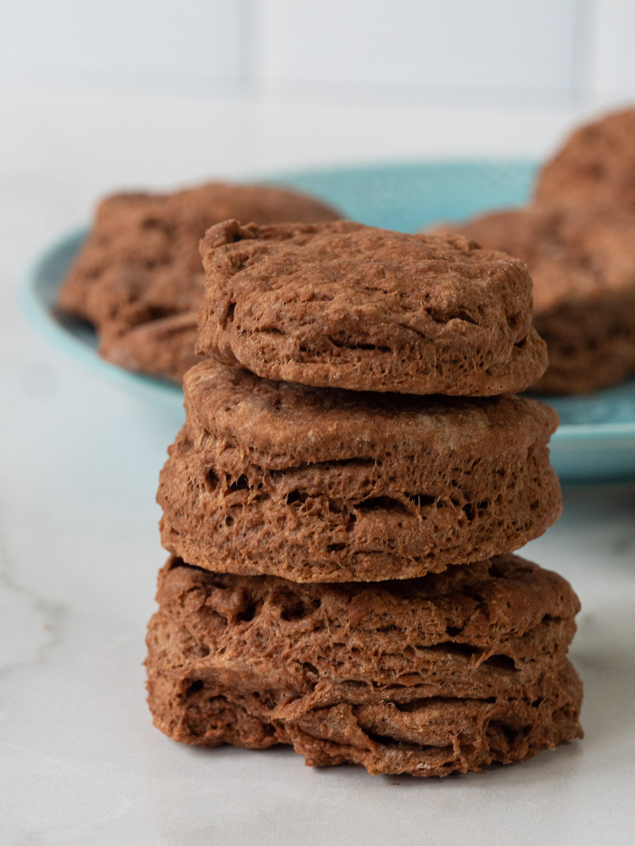fluffy chocolate biscuits
