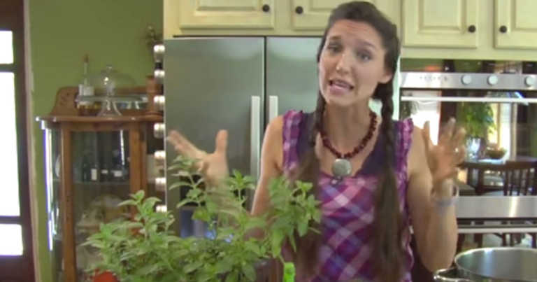 Peppermint Plants Can Help Get Rid Of Unwanted Pests