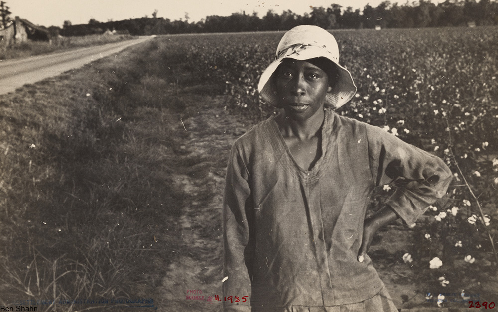 woman employed at picking cotton, wearing a cloche hat, 1930s