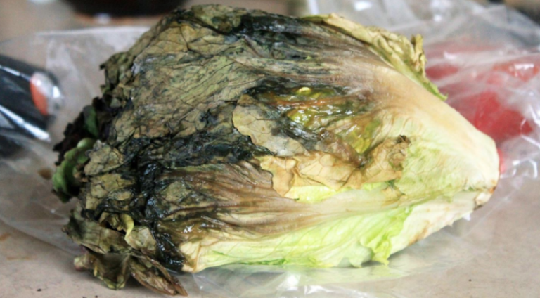 How To Keep Your Greens Fresh For A Longer Period Of Time