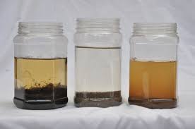 3 Easy Tests To Make Sure Your Soil Is Healthy