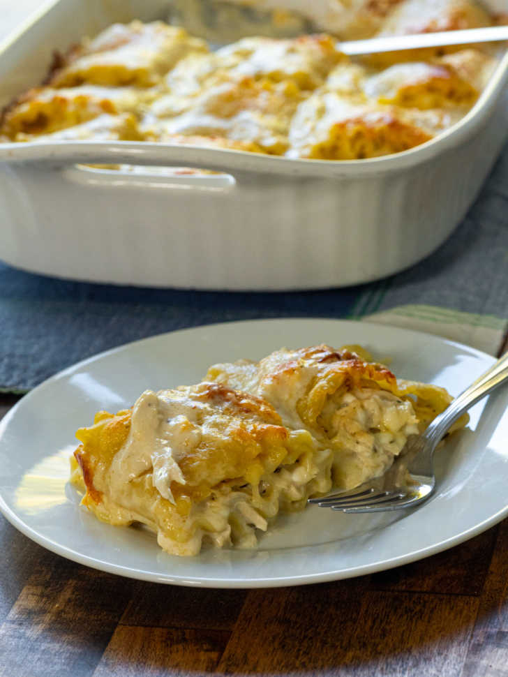 Chicken Alfredo Lasagna Roll Ups 12 Tomatoes