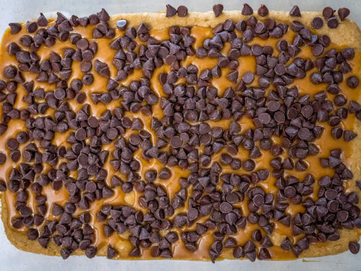 Binge Bars 12 Tomatoes