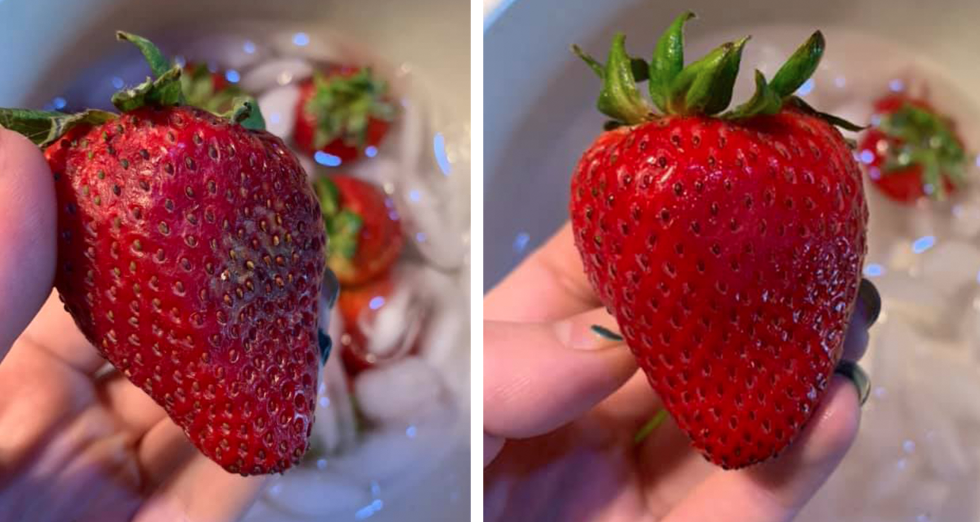 How Do You Know If Strawberries are Old  