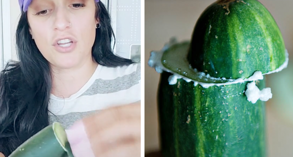 People Are ‘Milking’ Cucumbers Cause It’s Supposed To Make Them Taste