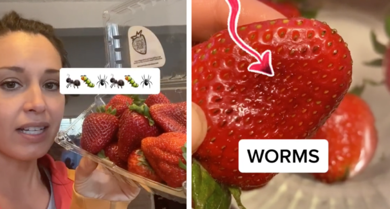 Woman Claims That Tiny ‘Worms’ Came Out Of Her Strawberries After Soaking Them In Salt Water