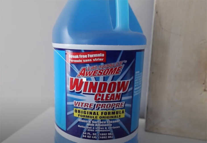 Window Cleaner 32 fl oz - Dollar Store