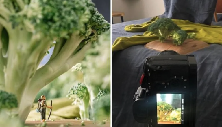 Quarantined Travel Photographer Takes Miniature ‘Outdoor’ Pictures Indoors