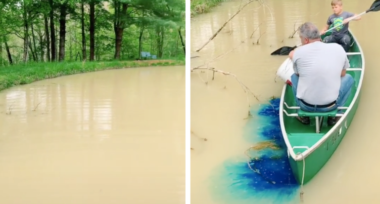 Family Transforms Their Murky Pond By Dying It Blue
