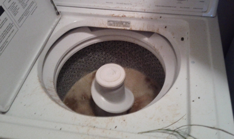 How Your Washing Machine Could Be Making You Sick