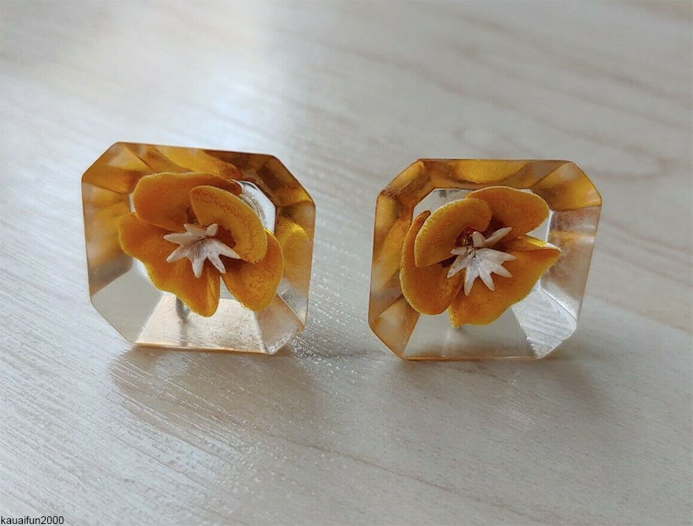 reverse-carved vintage lucite earrings