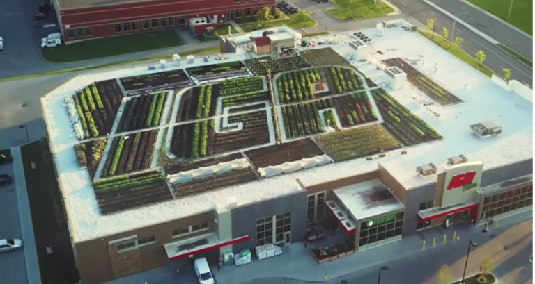 A Montréal Grocery Store Is Selling Fresh Produce Grown On Its Roof