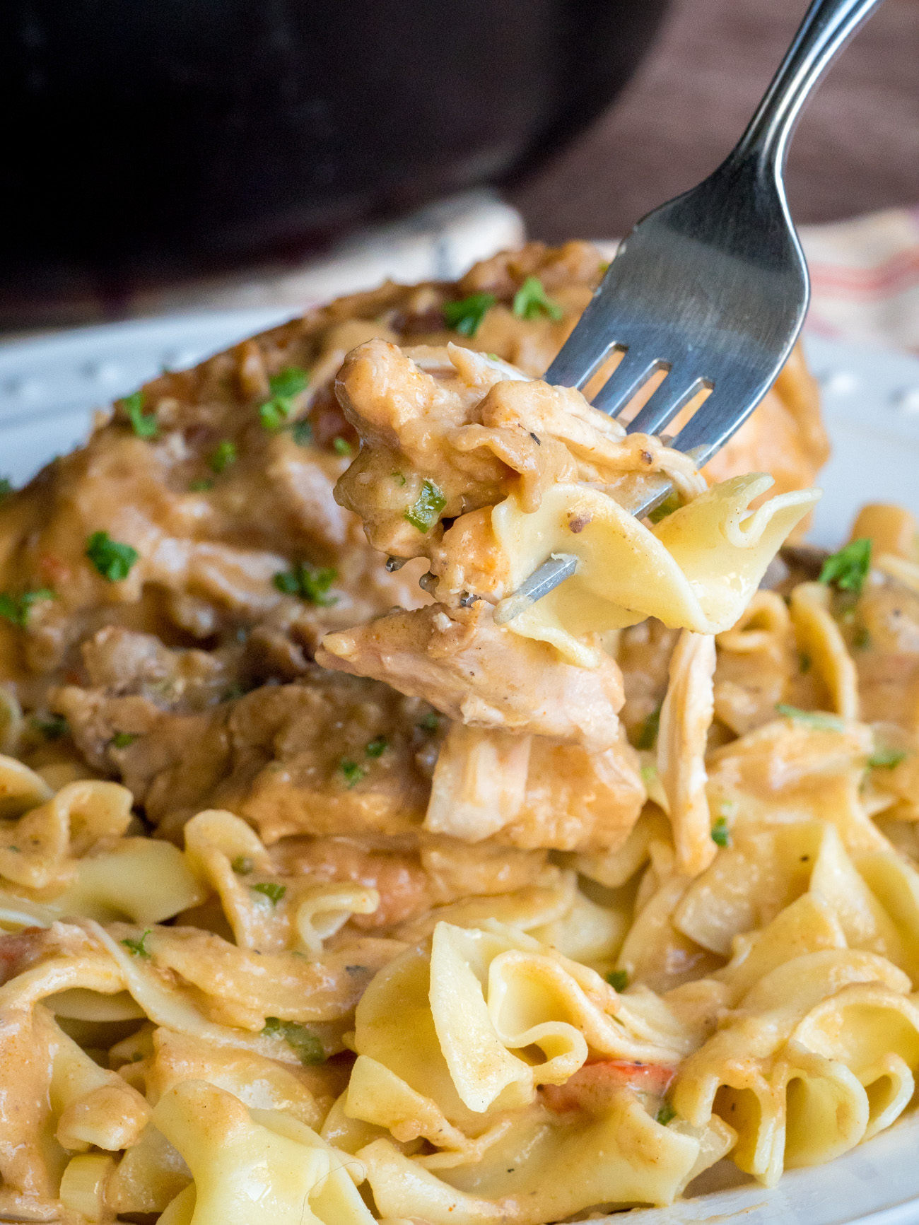 Cajun Chicken Fricassee