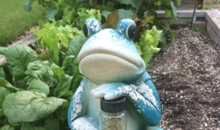 Woman Tries Forcing Her Neighbor To Remove A Lawn Statue Cause It Freaked Out Her Daughter