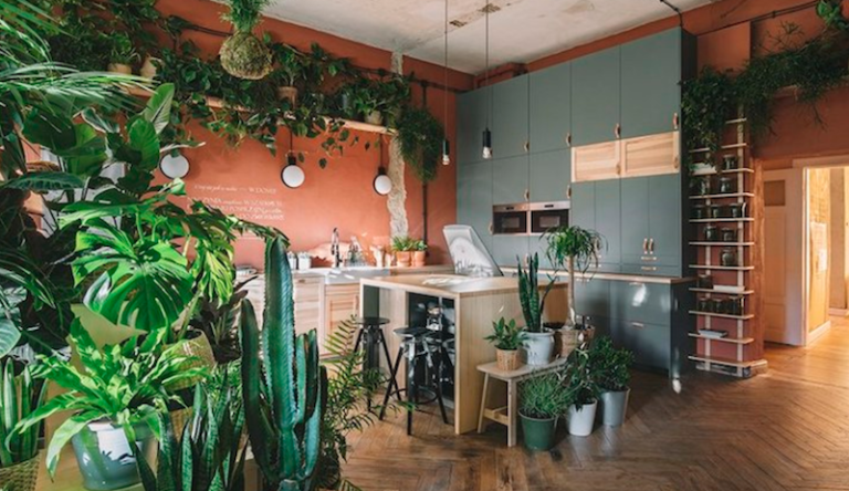 IKEA Shows Off Their New ‘Home Of Tomorrow’ And It’s Full Of Indoor Plants