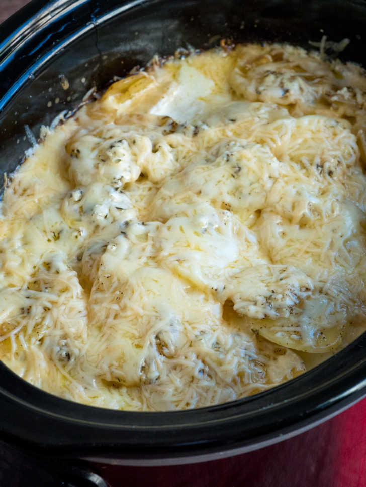 Slow Cooker Scalloped Potatoes with Creamy Cheese Garlic Sauce - An Oregon  Cottage