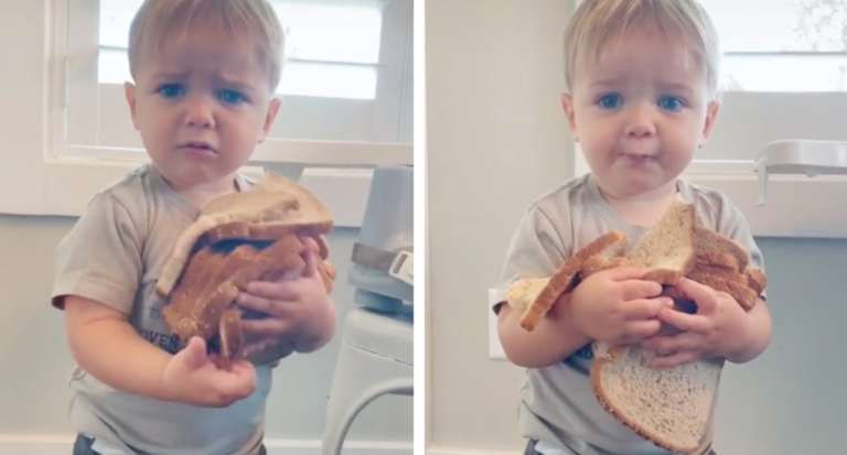 This Toddler Carrying And Eating An Entire Loaf Of Bread Is The Whole Mood Of 2020
