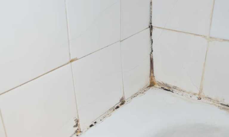 Easily Clean Your Shower With This Dollar Store Homemade Solution