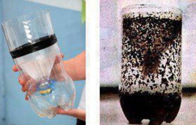 How To Make A DIY Mosquito Trap With A Two-Liter Bottle