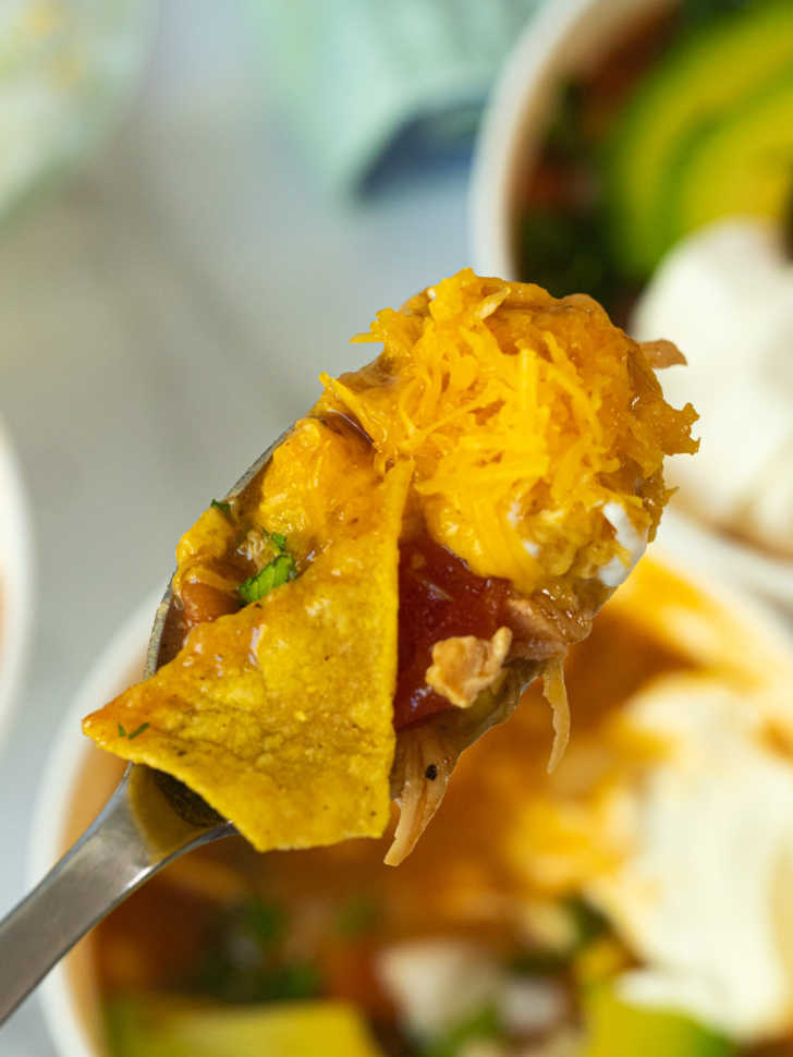 7Can Chicken Tortilla Soup 12 Tomatoes