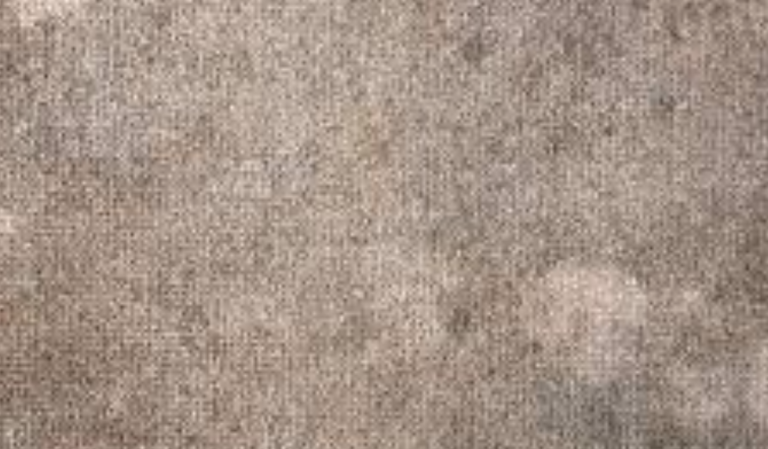 How To Clean Old Carpet For Less Than $5 Using Dollar Store Products