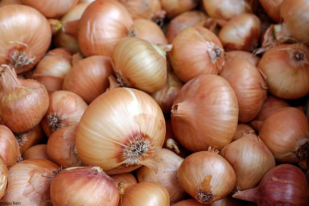 pile of onions in their skins