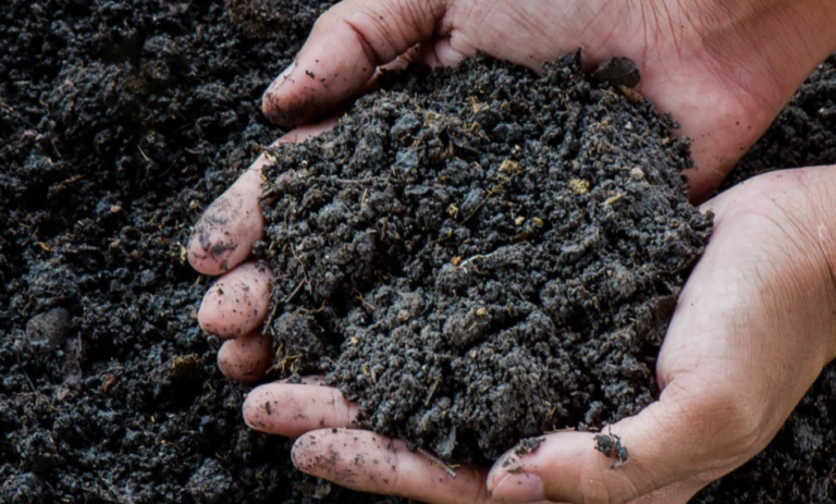 Vermont Is No Longer Allowing Residents To Throw Food Scraps In The Trash