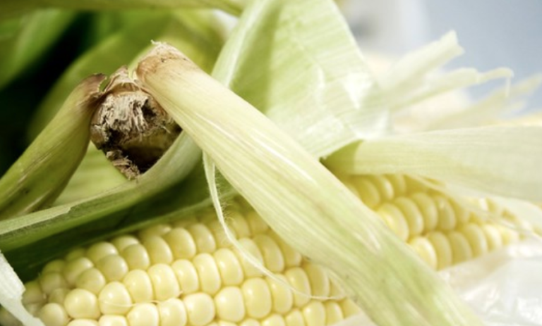 The Fastest Way To Shuck Corn