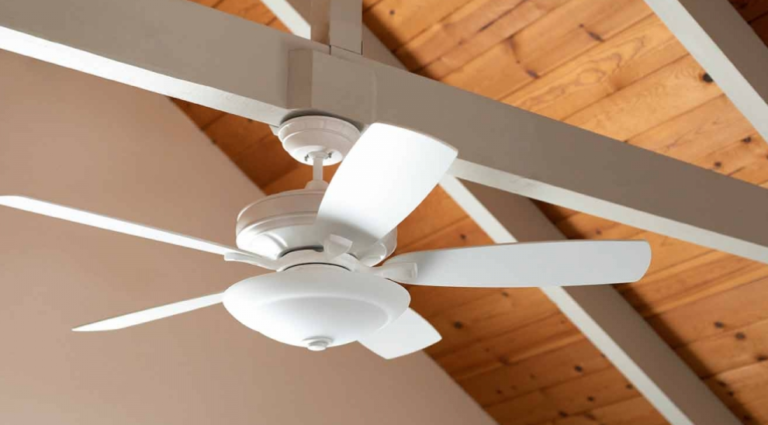 Which Direction Should Your Ceiling Fan Rotate?