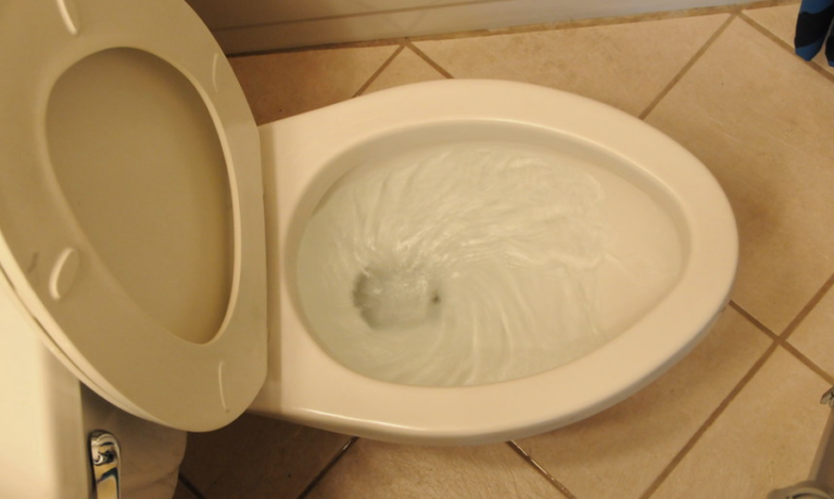 Things Your Should Never Flush Down The Toilet
