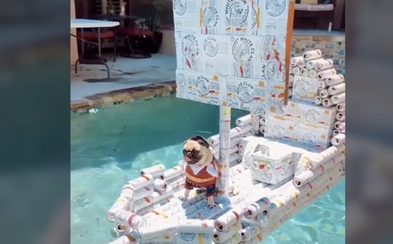 The Internet Is Obsessed With This Dog Sailing In A Boat Made Of White Claw Cans