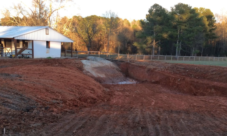 Man Spent 3 Years Building A Natural Pool In His Backyard