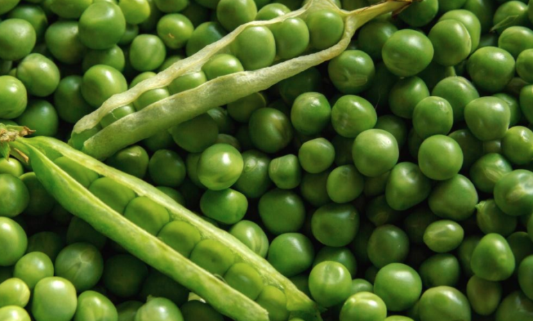Plant The Right Vegetables Now To Harvest In The Fall